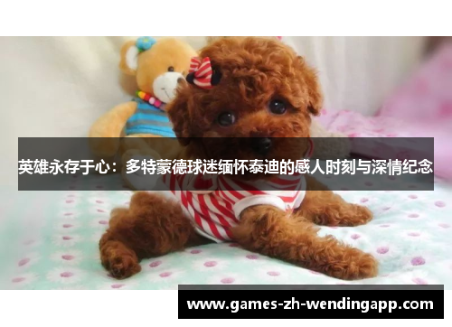 英雄永存于心：多特蒙德球迷缅怀泰迪的感人时刻与深情纪念