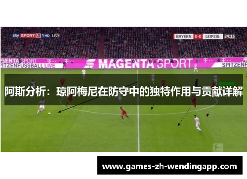 阿斯分析：琼阿梅尼在防守中的独特作用与贡献详解