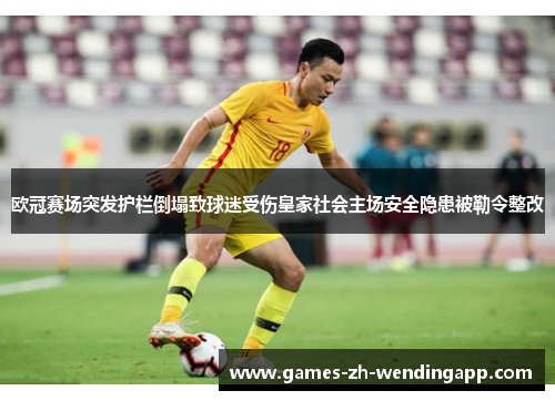 欧冠赛场突发护栏倒塌致球迷受伤皇家社会主场安全隐患被勒令整改